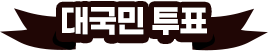 대국민 투표